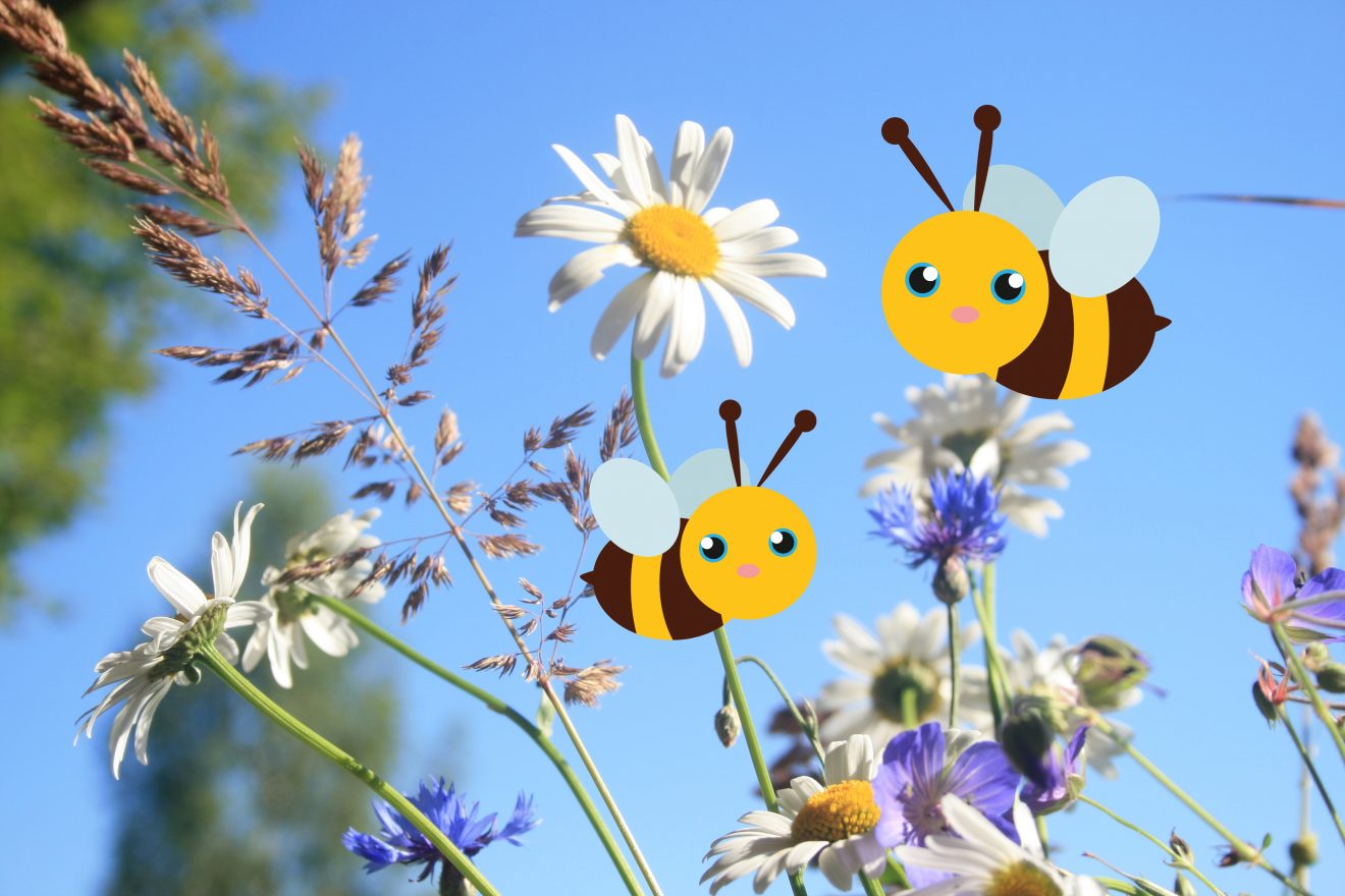 Projekt Blühender Naturpark, Wildblumenwiese mit Bienen-Illustrationen, Foto: Shutterstock/Anastasia Prokopchuk, Grafik: Shutterstock/Yuliana design