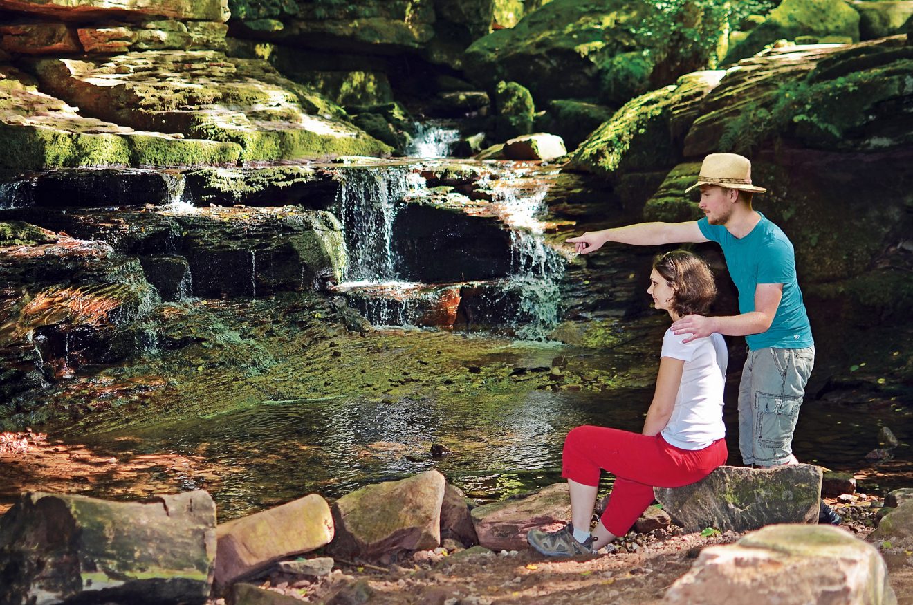 Monbachtal-Wanderung Bad Liebenzell