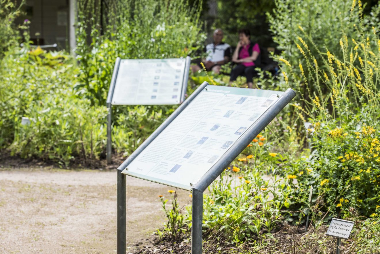 Apothekergartenführung in Bad Liebenzell