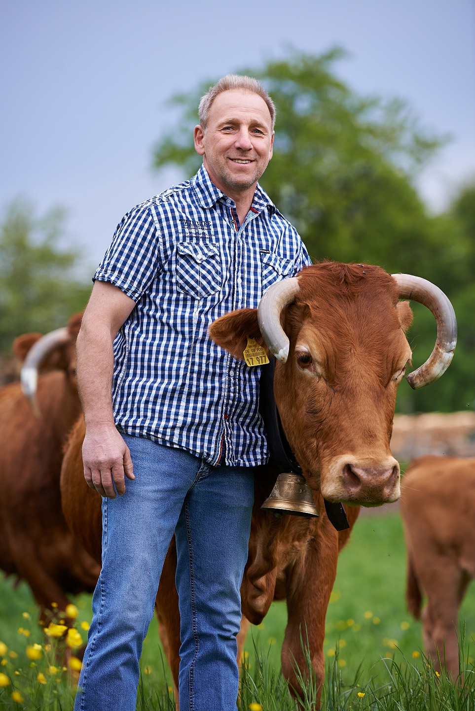 Bioland-Bauernhof Reiser: Der Chef mit einem Limousin-Rind