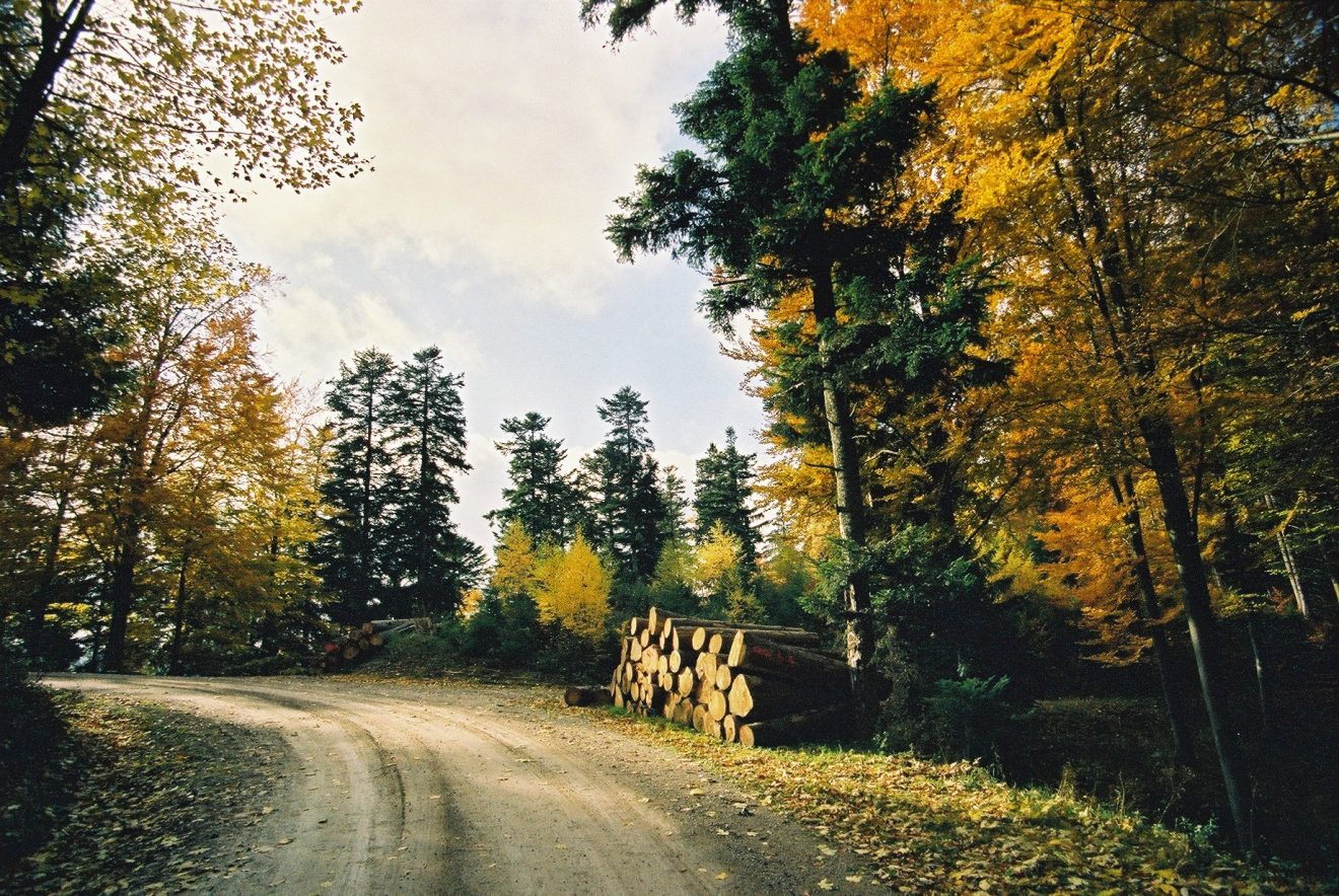 Wanderherbst im Naturpark.