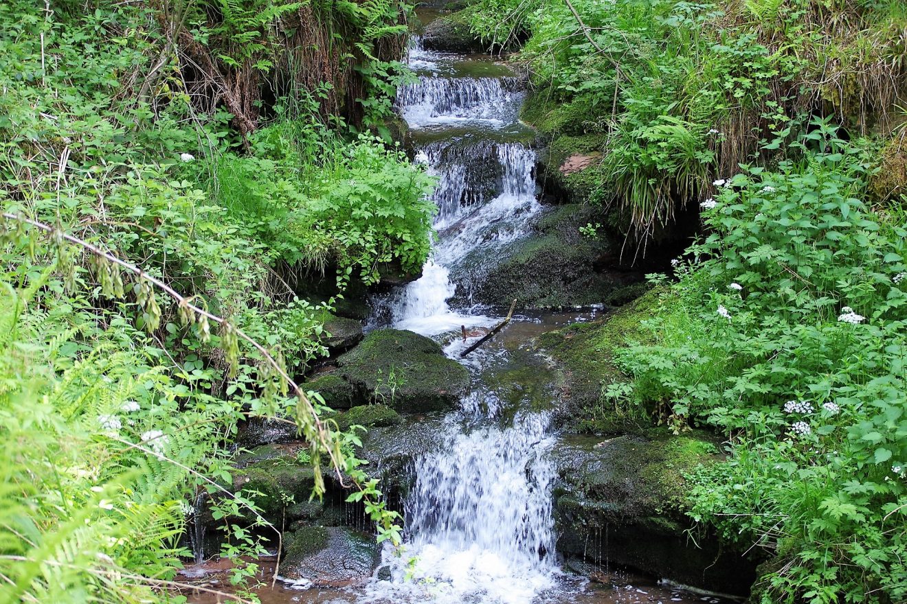 Naturpark-Schwarzwald-Blog_Floesserpfad_Wasserfall Obere Kinzig, Flößerpfad Richtung Alpirsbach