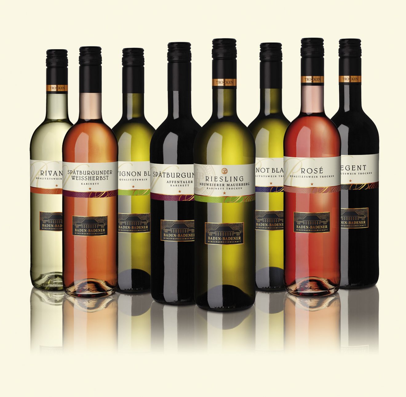 Weinlese 2017 der Baden-Badener Winzergenossenschaft