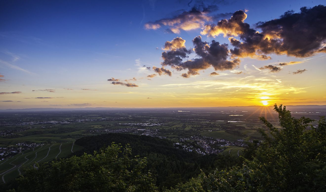 Weinlese 2017 der Baden-Badener Winzergenossenschaft
