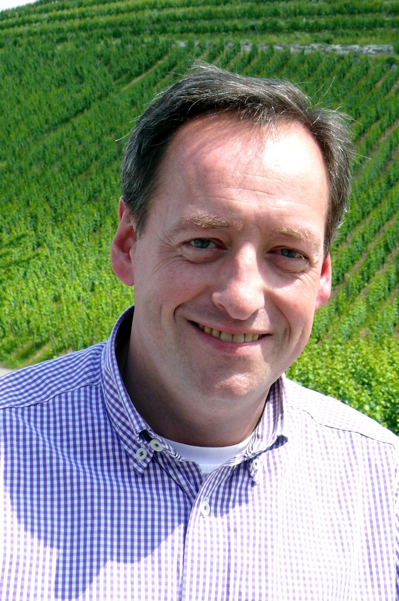 Weinlese 2017 der Baden-Badener Winzergenossenschaft