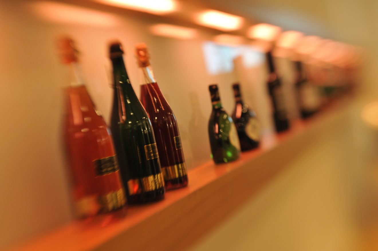 Weinlese 2017 der Baden-Badener Winzergenossenschaft