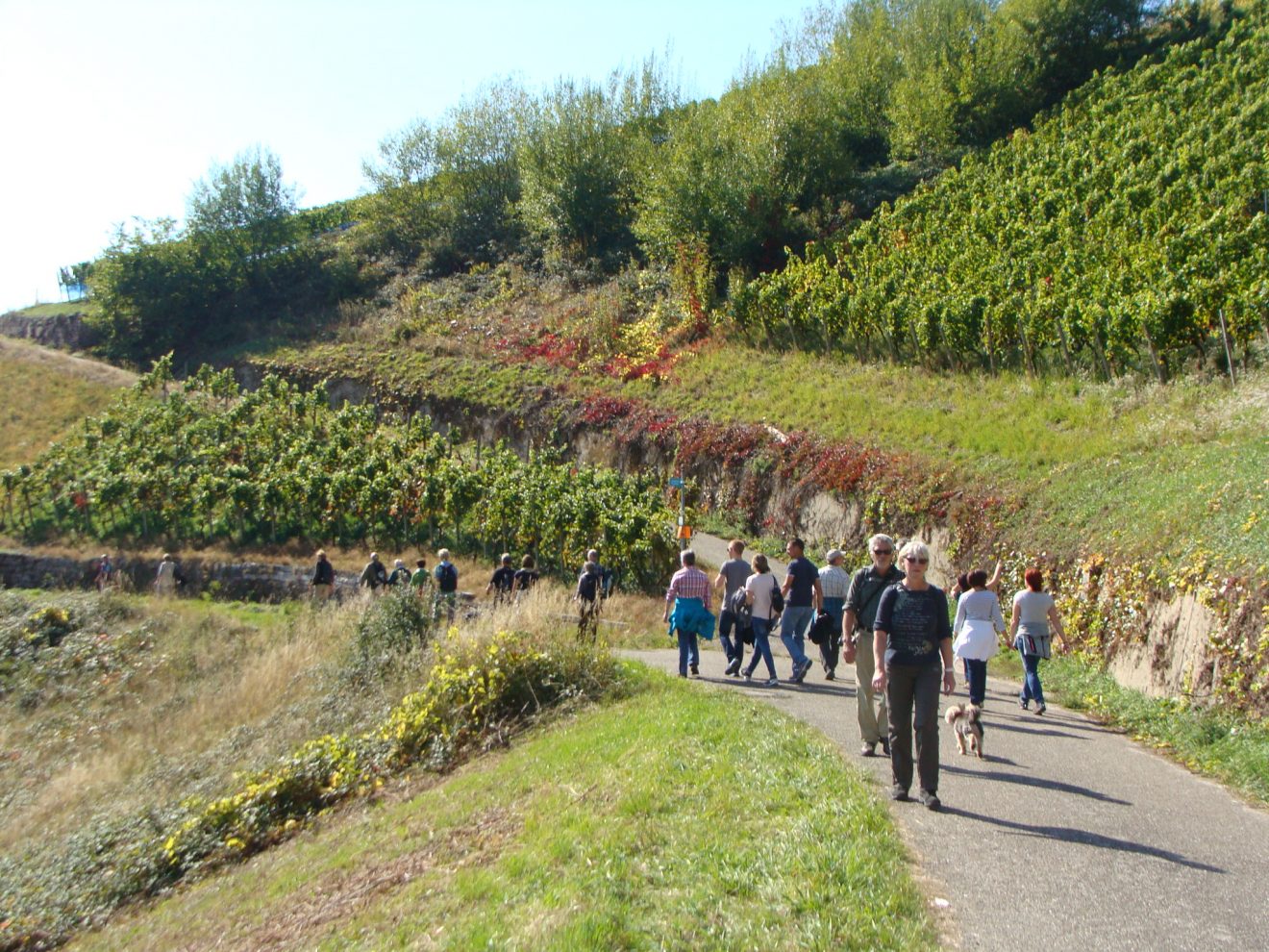 Weinwanderung 2017 in Bühlertal