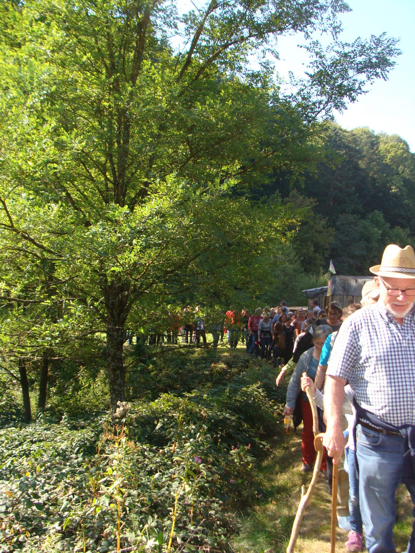 Weinwanderung 2017 in Bühlertal