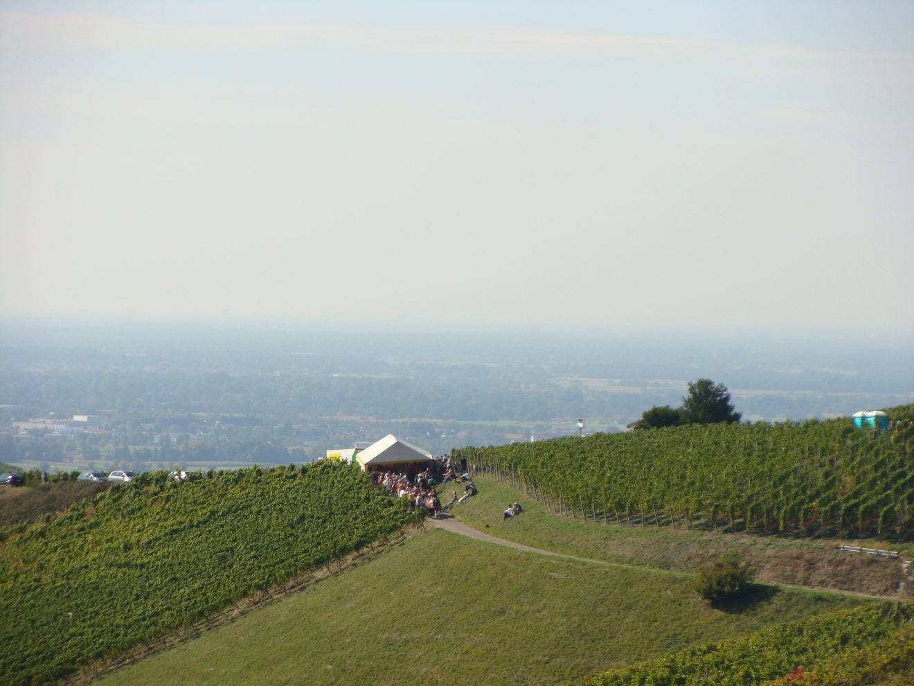 Weinwanderung 2017 in Bühlertal