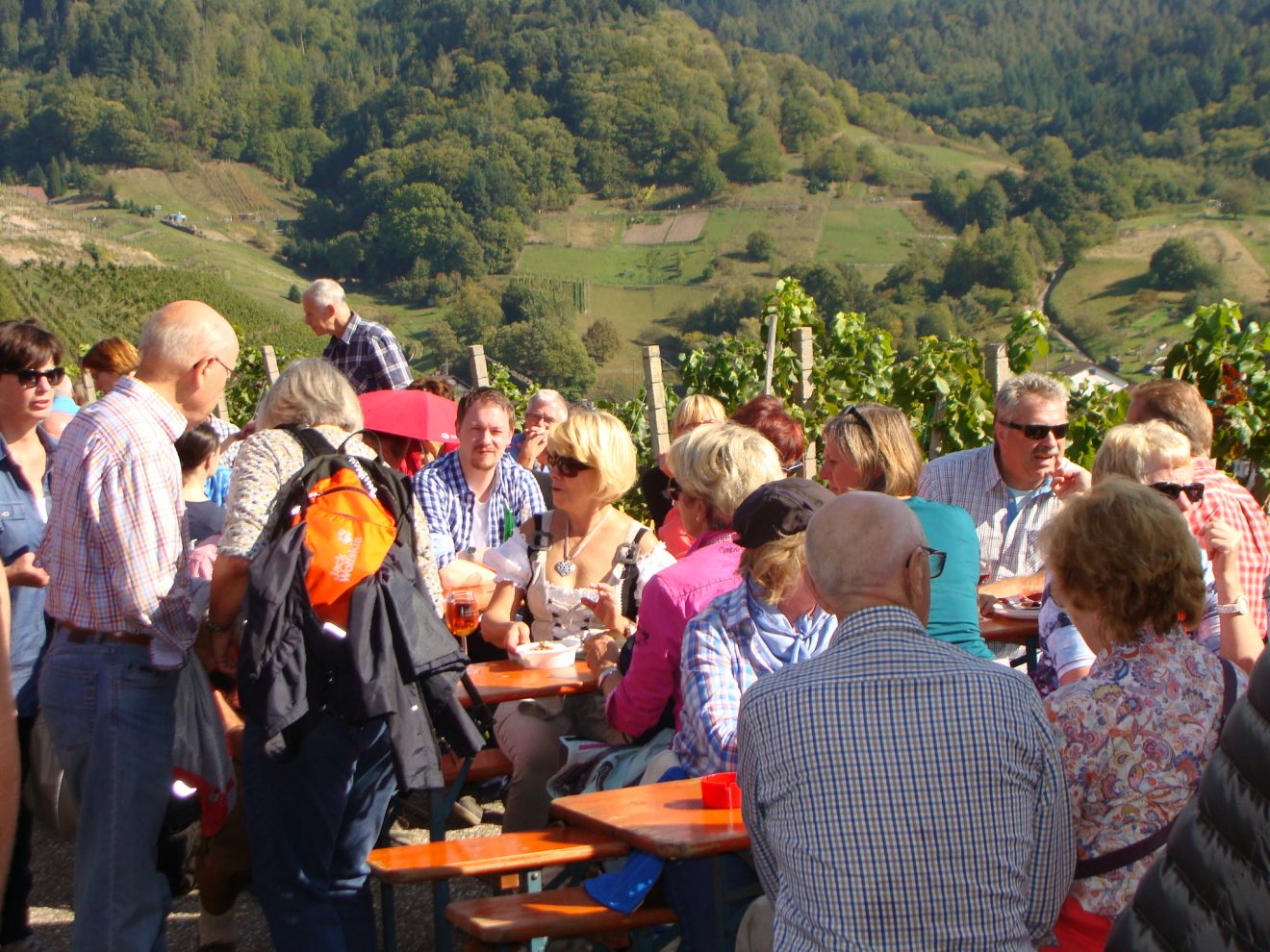 Weinwandertag 2017 in Bühlertal