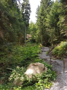 Internationale Mountainbike-Bundesliga-Rennen