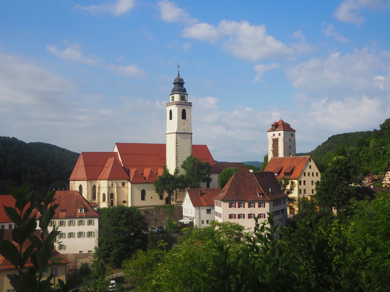 Stadtansicht Horb. Copyright Alexander Gekle