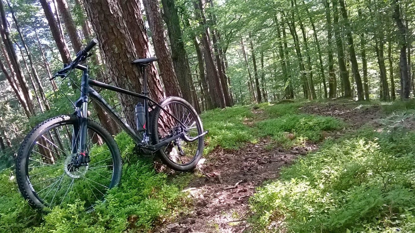 Mountainbike am Schartenberg in Baden-Baden-Neuweier. Copyright Christoph Rukavina-Gruner