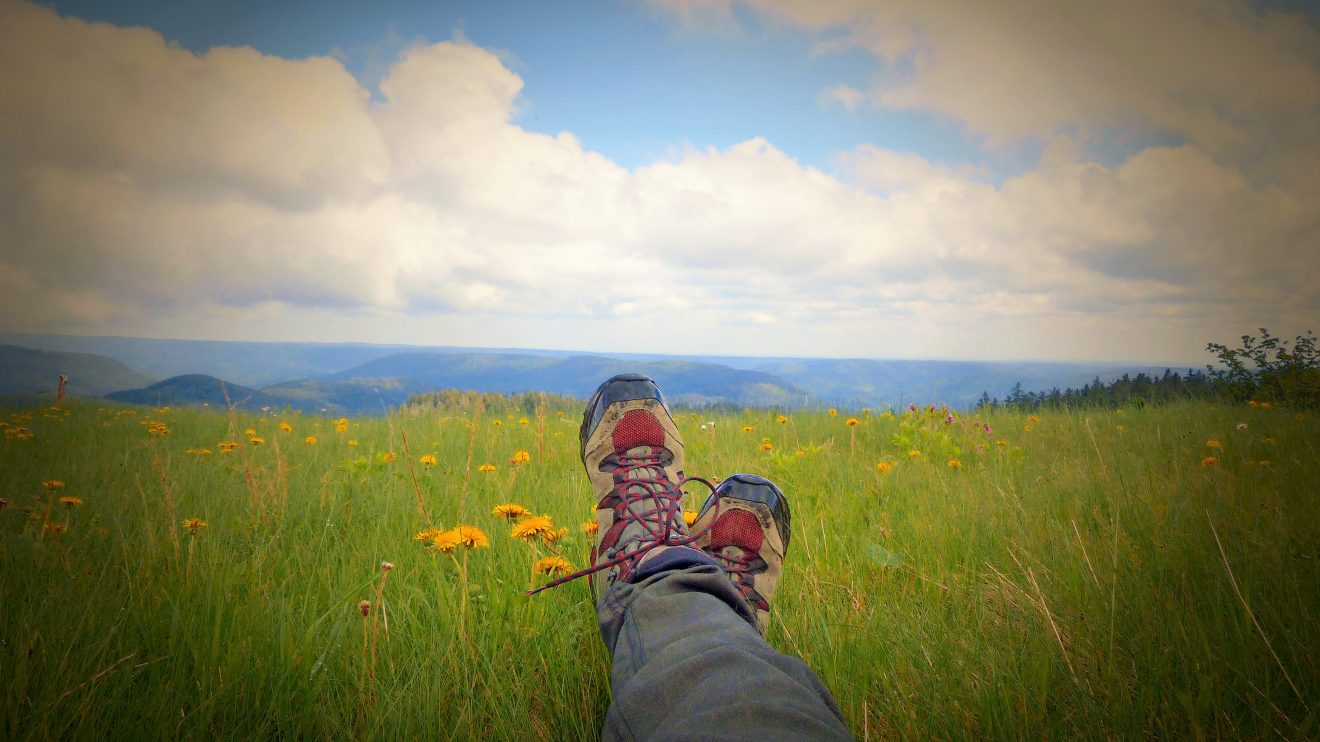 Chillen auf dem Hochmoor der Hornisgrinde. Copyright Clarissa Kopp