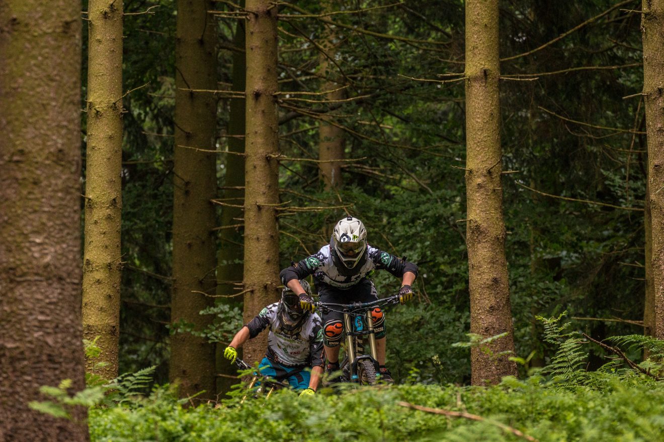 Mountainbiker auf dem Alpirsbacher Schwarzwaldtrail