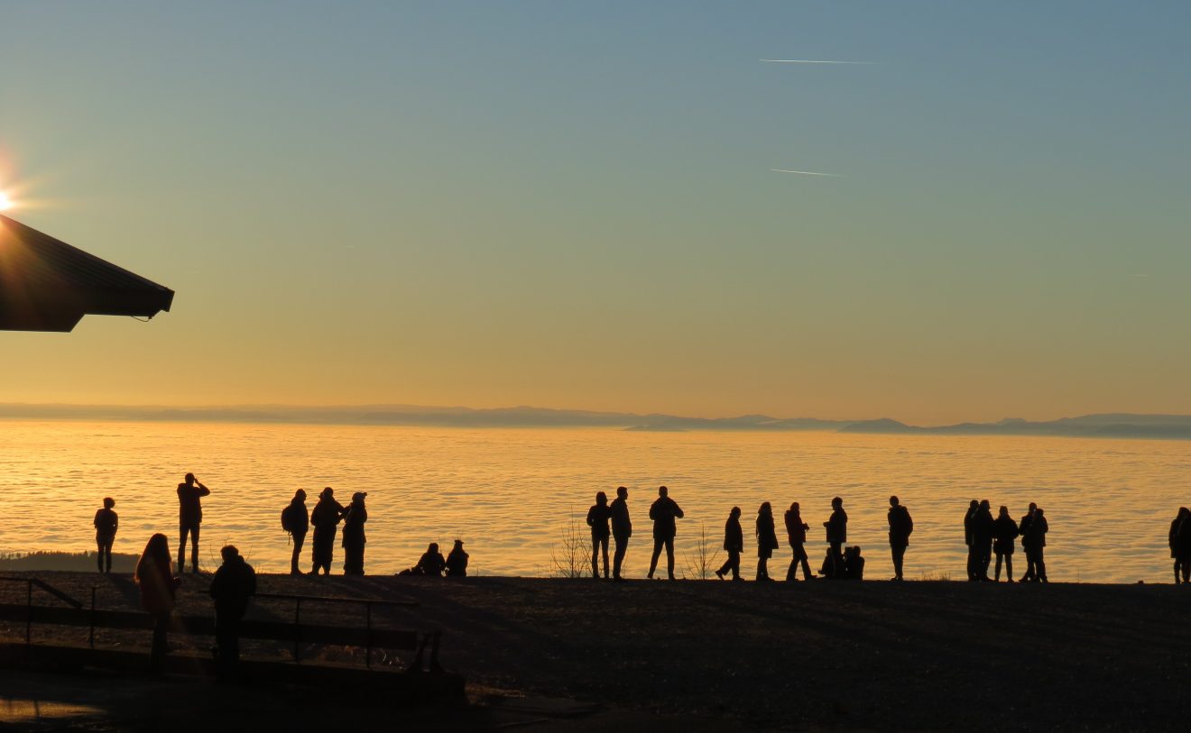 Blick von der Hornisgrinde oberhalb des Mummelsees. Copyright Denise Langner