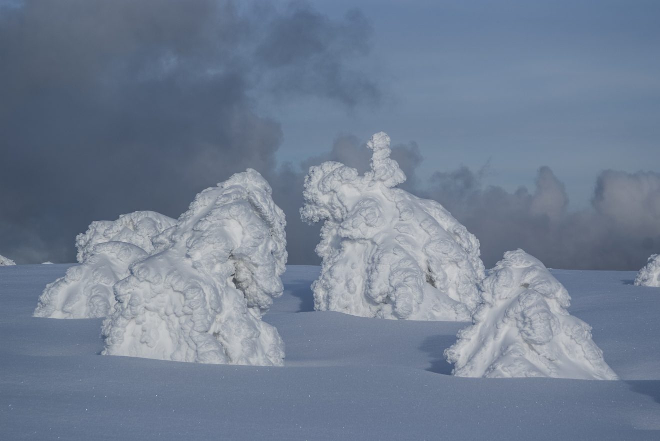 "Mummelseegeister auf der Hornisgrinde". Copyright Ellen Appenheimer-Keim