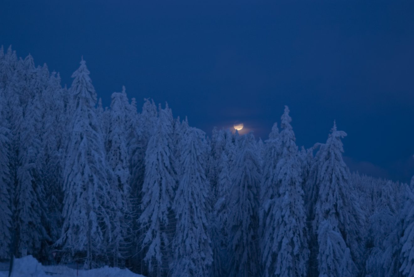 Winterlandschaft nahe dem Mummelsee. Copyright Ellen Appenheimer-Keim
