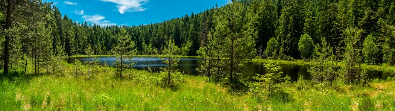 Herrenwieser See. Copyright Frank Walter