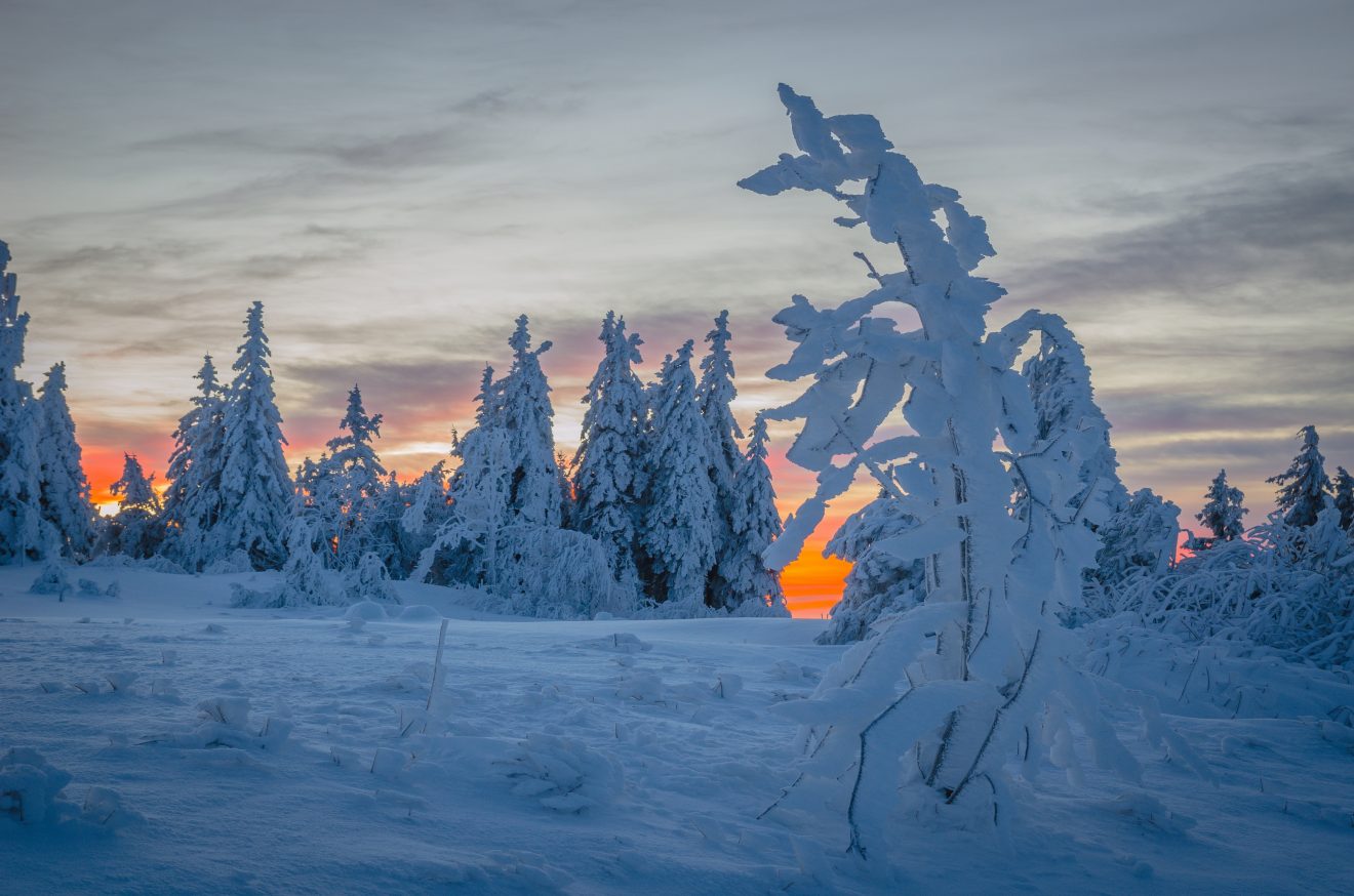 Winter-Sonnenaufgang auf der Hornisgrinde. Copyright Hermann Schmider