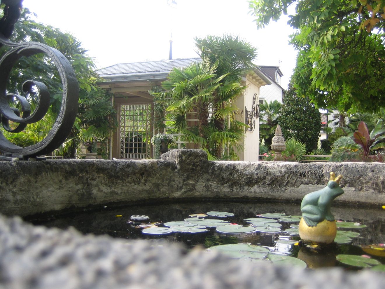 Katzscher Garten in Gernsbach aus der Froschperspektive. Copyright Ilona Zeltmann