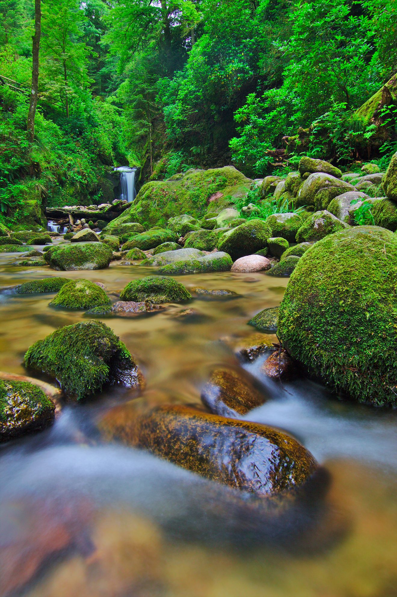 Geroldsauer Wasserfälle. Copyright Maximilian Engelsberger