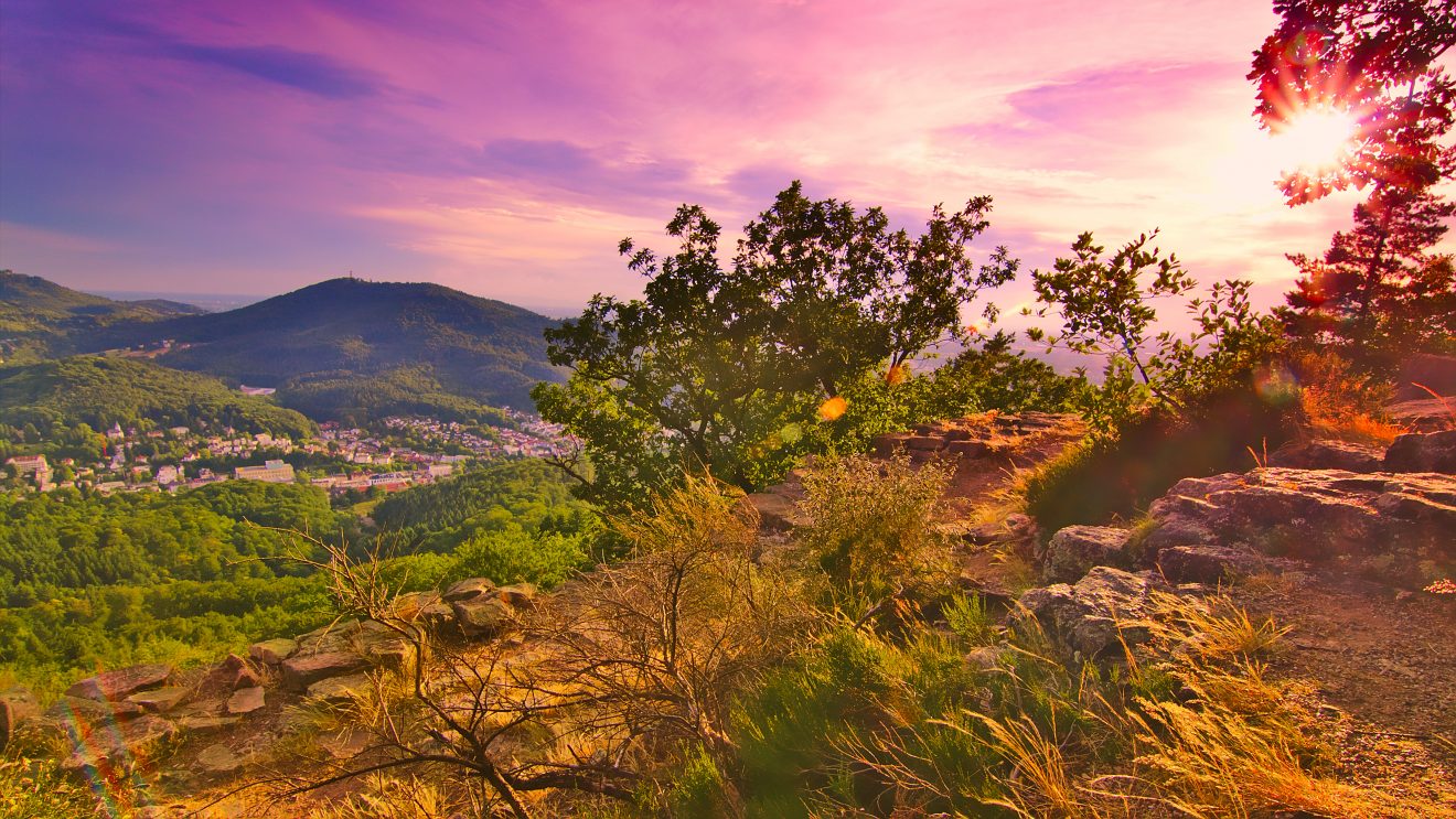 (Foto: Maximilian Engelsberger)