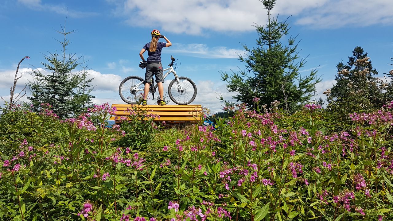 Mountainbike-Tour von Ödsbach zum Moosturm auf dem Kandelweg. Copyright Simone Kiefer