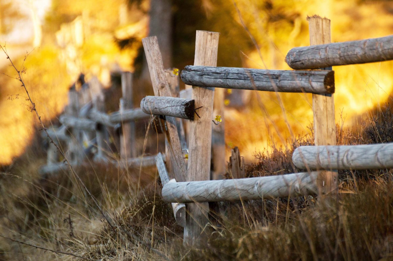 Szene am Schliffkopf bei Sonnenaufgang. Copyright Steffen Graumann