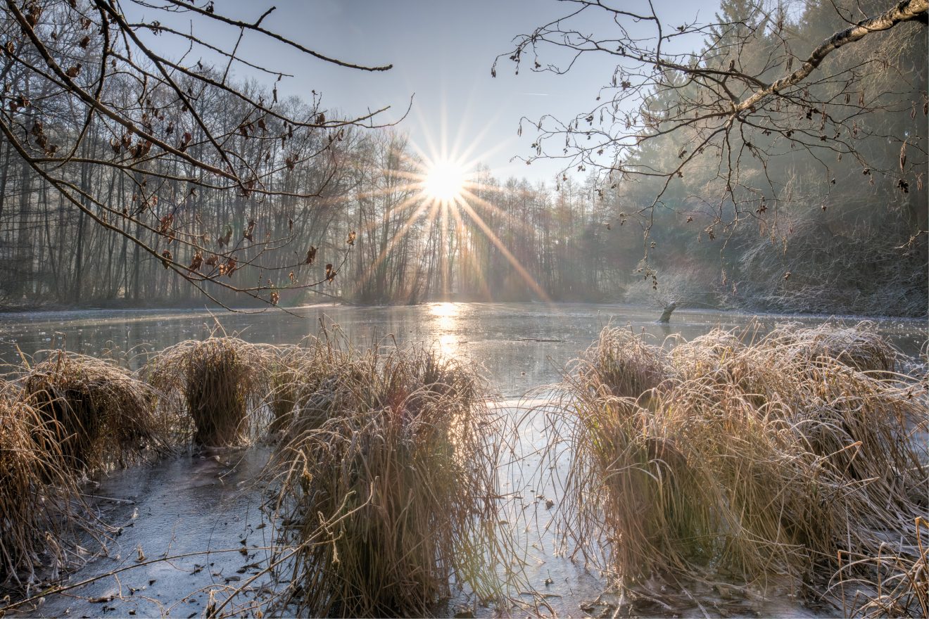 Naturschutzgebiet Heimbachaue bei Loßburg-Betzweiler. Copyright Stephan Graf