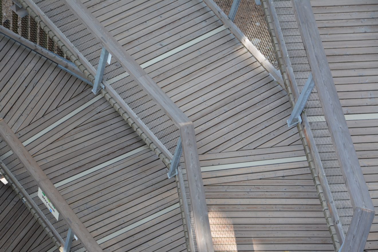 Turm am Baumwipfelpfad. Copyright Ulrike Schütze