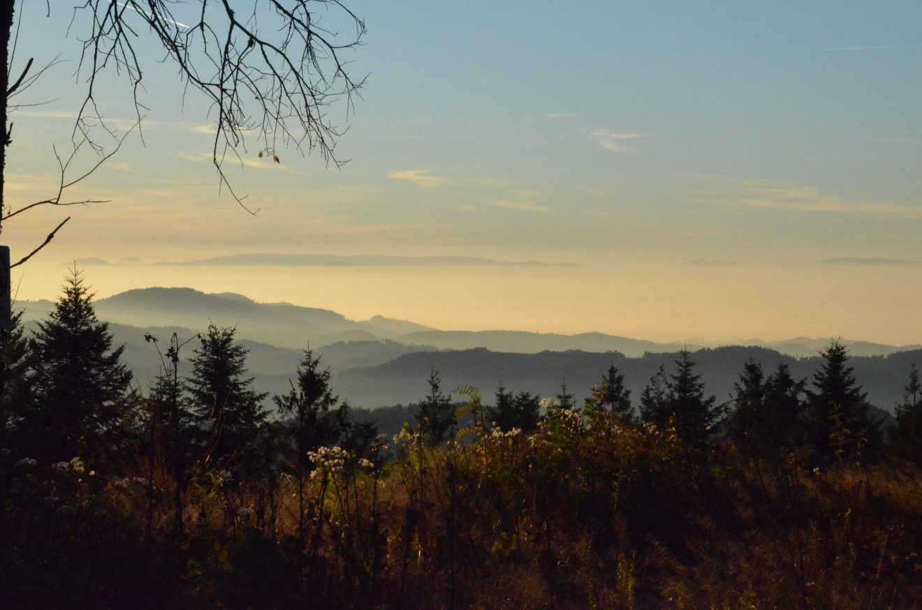 Vogesenblick von der Zuflucht aus. Copyright Uwe Schoch