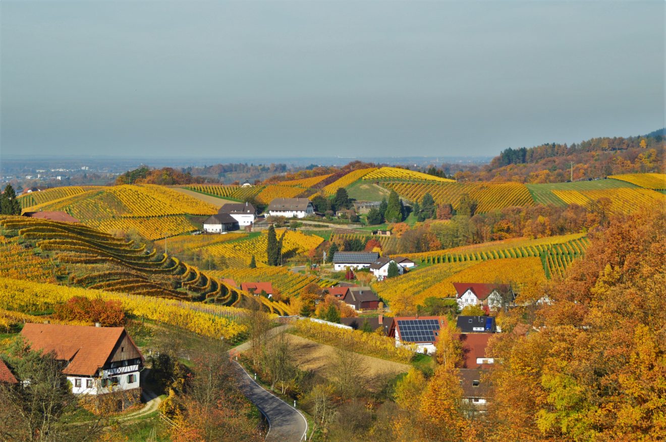 Indian Summer - Blick bei Sasbachwalden in die Rheinebene. Copyright Waltraud Kästle