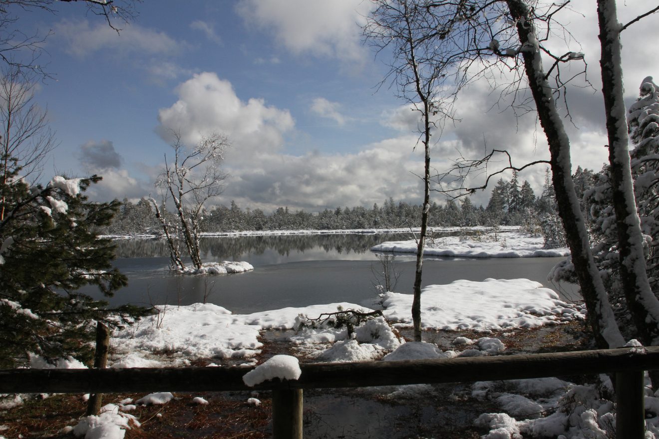 Winterfreizeit im Naturpark Schwarzwald Mitte/Nord