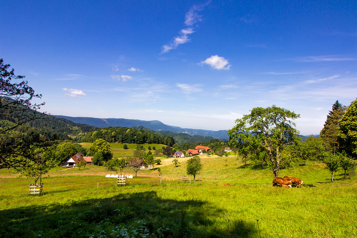 Alpirsbacher Tourentipp: Maisacher Turmsteig
