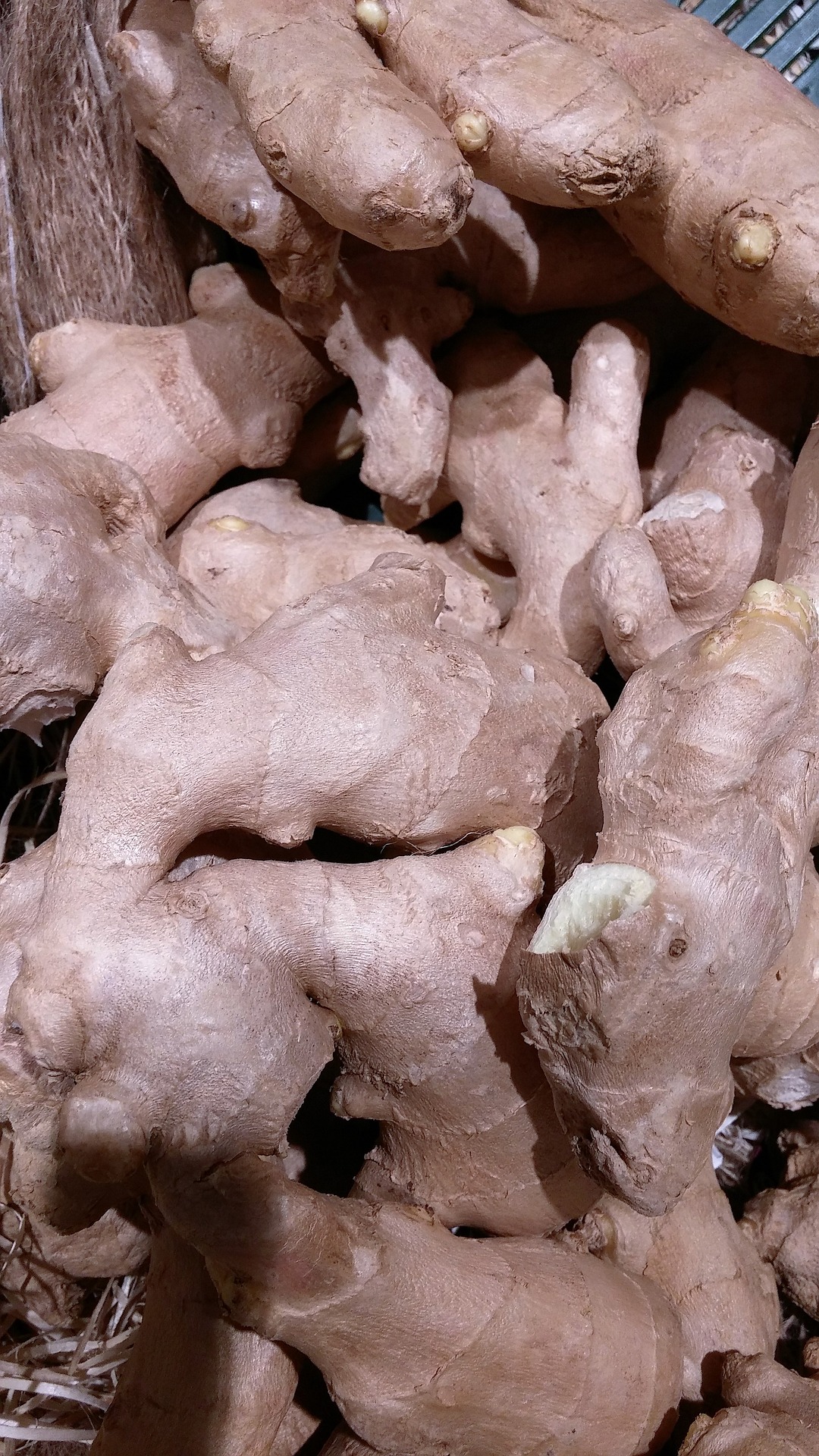 Fit und gesund durch den Herbst mit der AOK