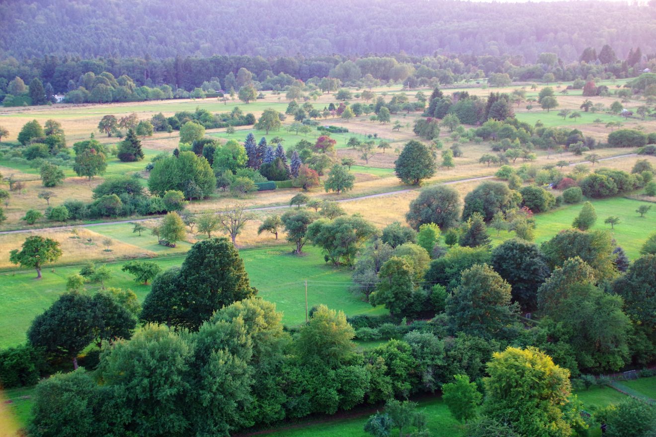 Ballonfahrt mit Teinacher.