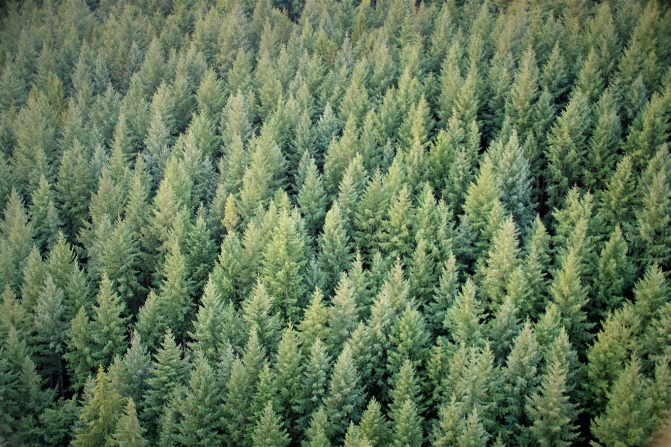 Ballonfahrt mit Teinacher.