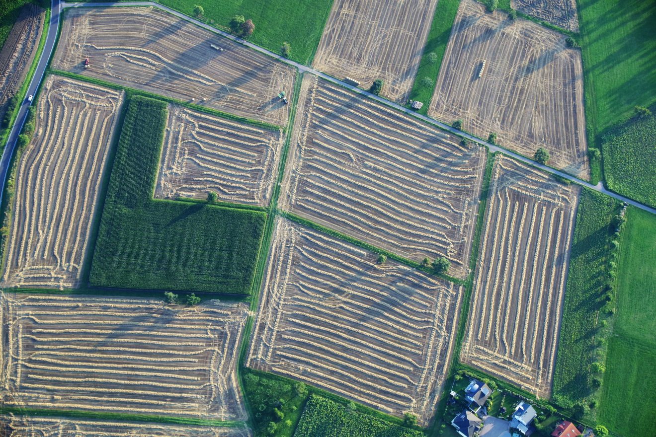 Ballonfahrt mit Teinacher über den Schwarzwald