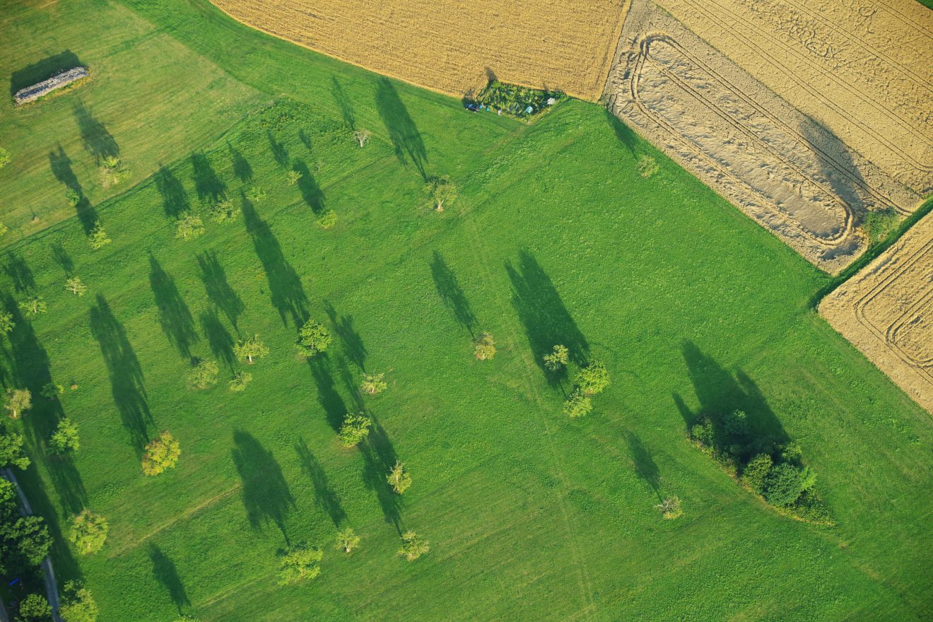 Ballonfahrt mit Teinacher über den Schwarzwald