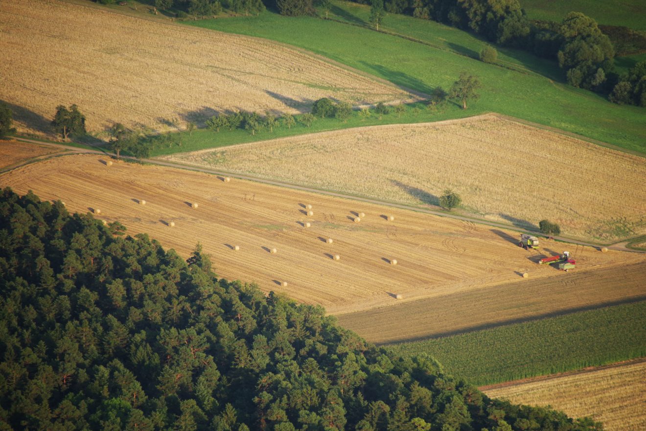 Ballonfahrt mit Teinacher über den Schwarzwald