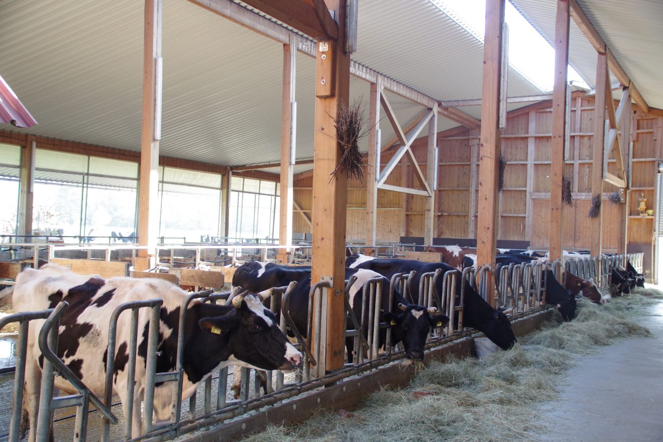 Mitgliederversammlung 2017 der Naturpark-Wirte