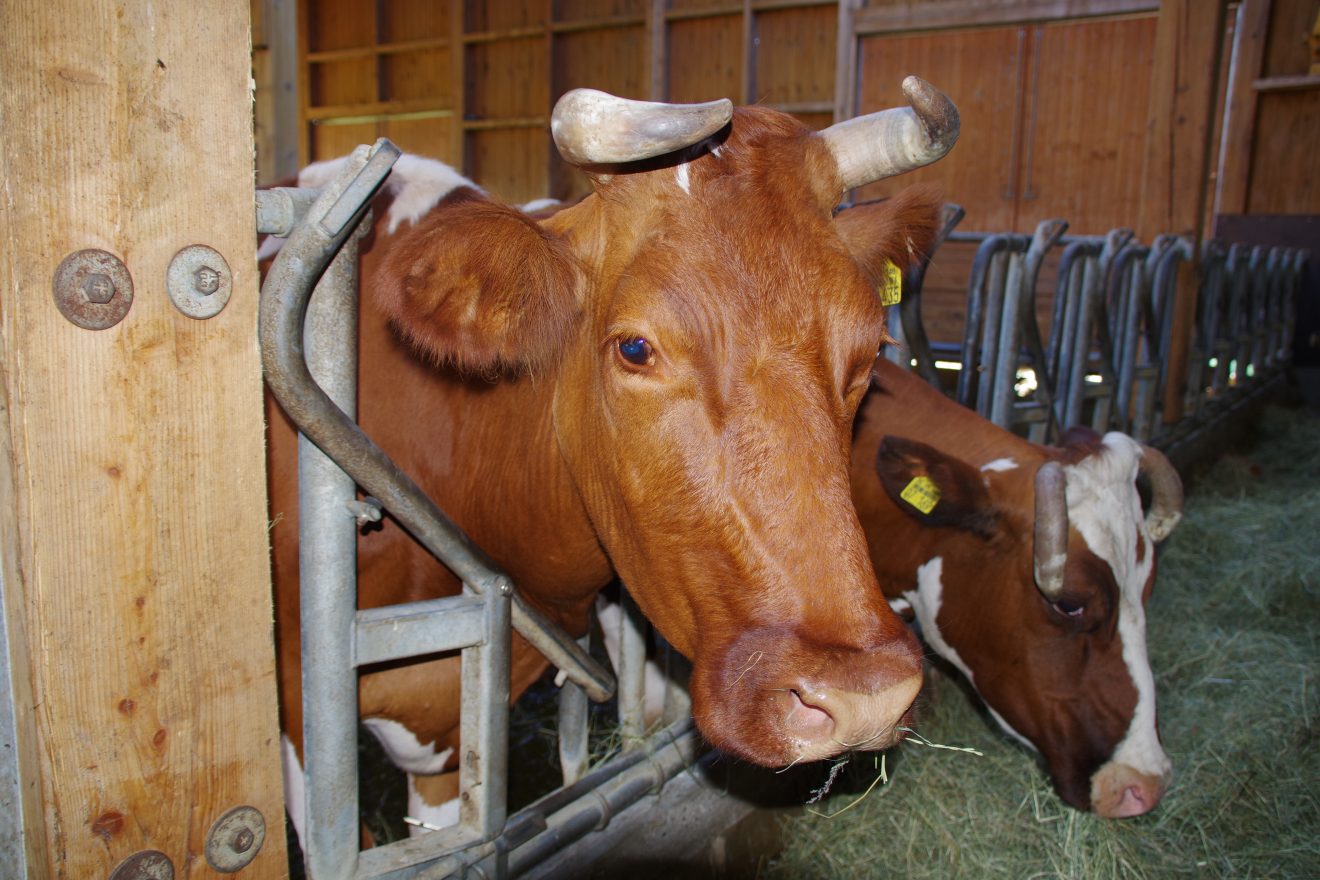 Mitgliederversammlung 2017 der Naturpark-Wirte