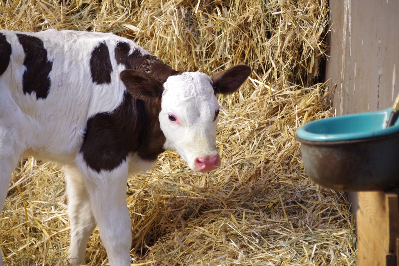 Mitgliederversammlung 2017 der Naturpark-Wirte
