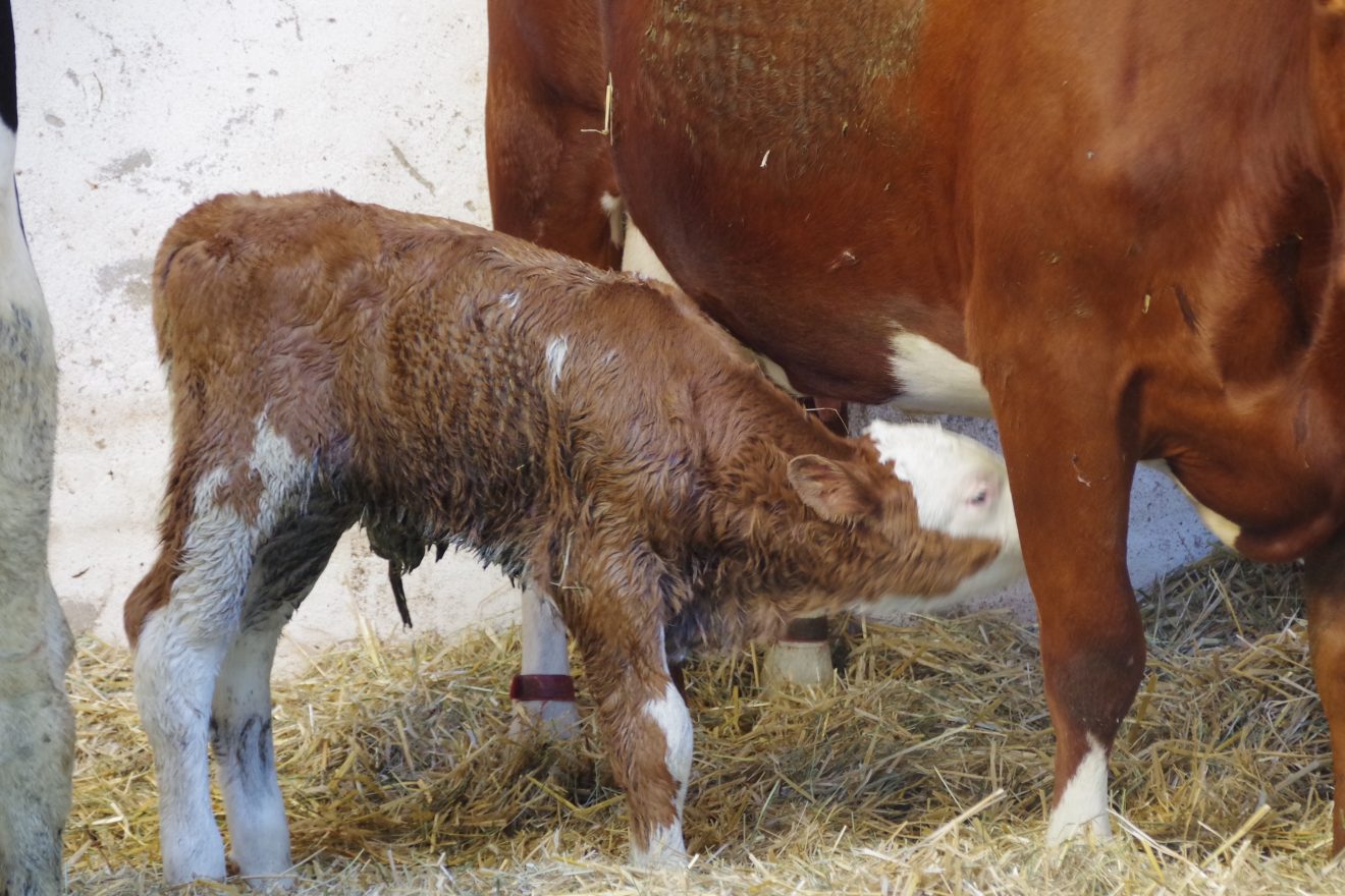 Mitgliederversammlung 2017 der Naturpark-Wirte