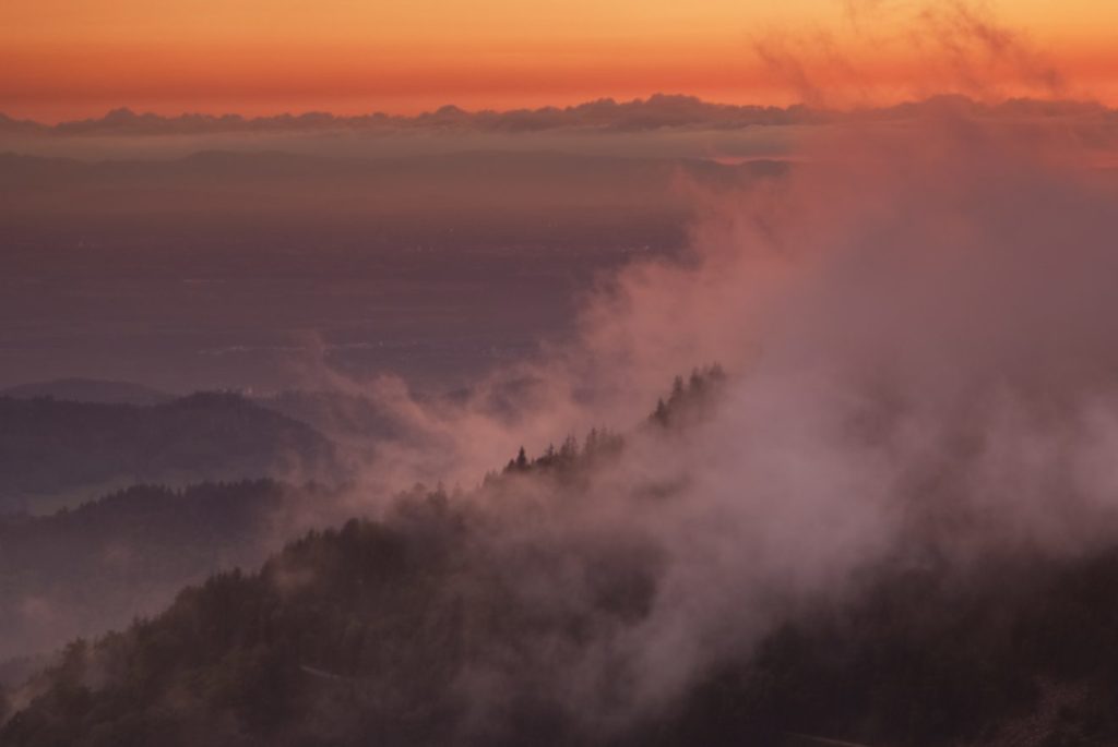 Naturpark-Fotowettbewerb "Schwarzwald Insight 2017" - 1. Preis