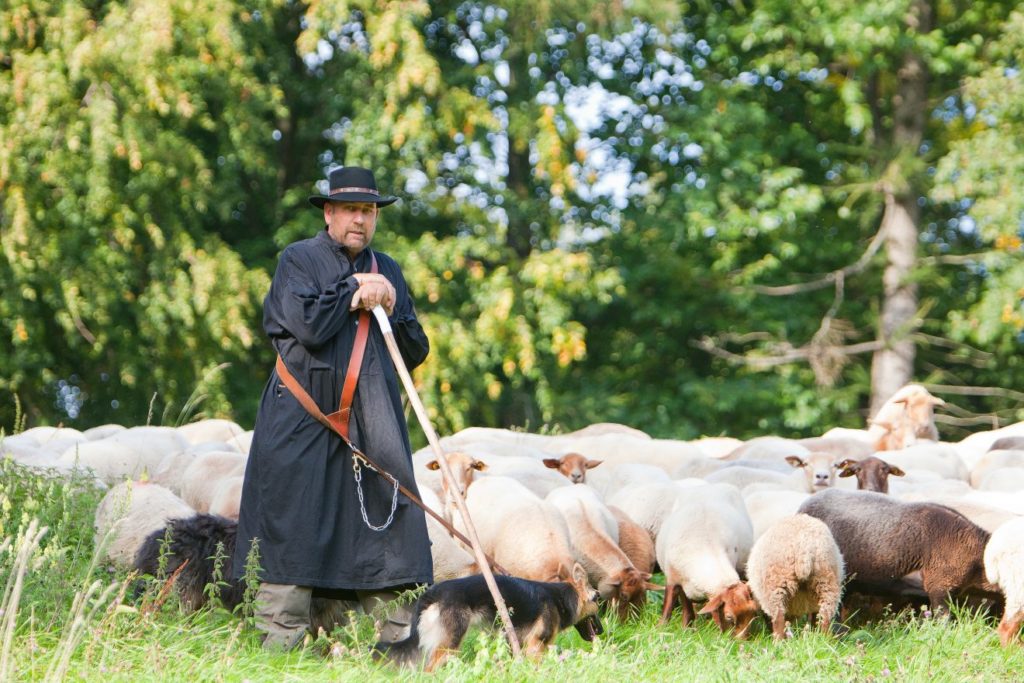Naturpark-Fotowettbewerb "Schwarzwald Insight 2017" - 2. Preis