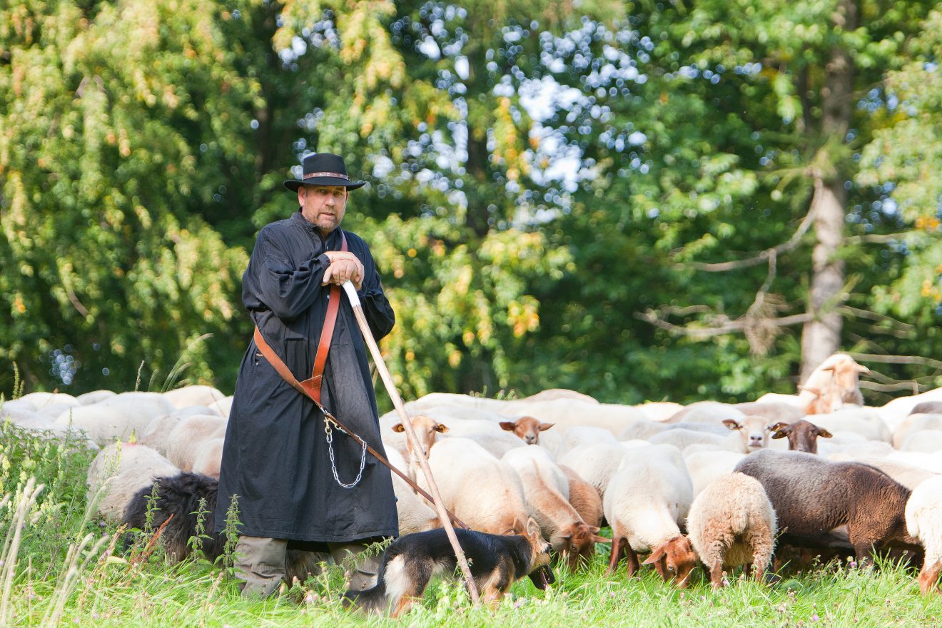 Naturpark-Fotowettbewerb "Schwarzwald Insight 2017" - 2. Preis
