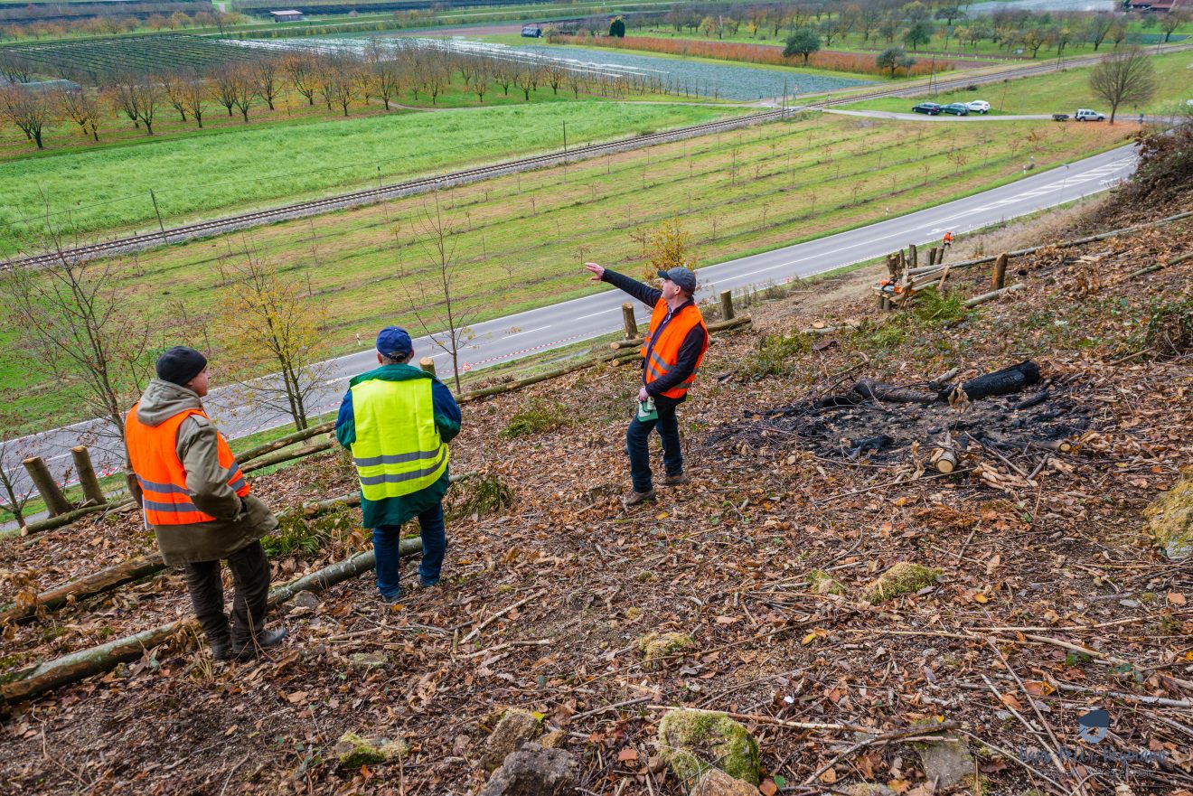 Herzenssache Natur: Landschaftspflege in Lautenbach im Ortenaukreis.