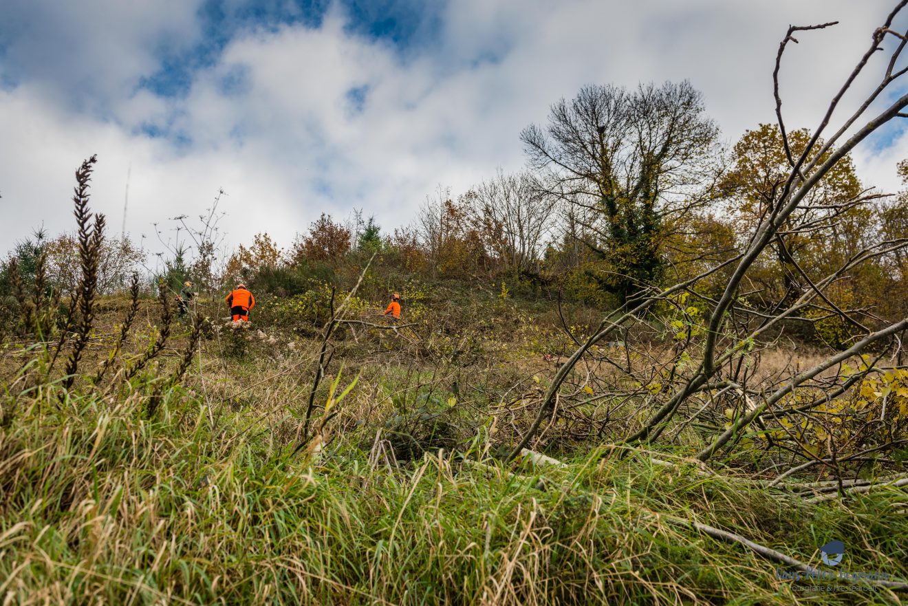 Herzenssache Natur: Landschaftspflege in Lautenbach im Ortenaukreis.